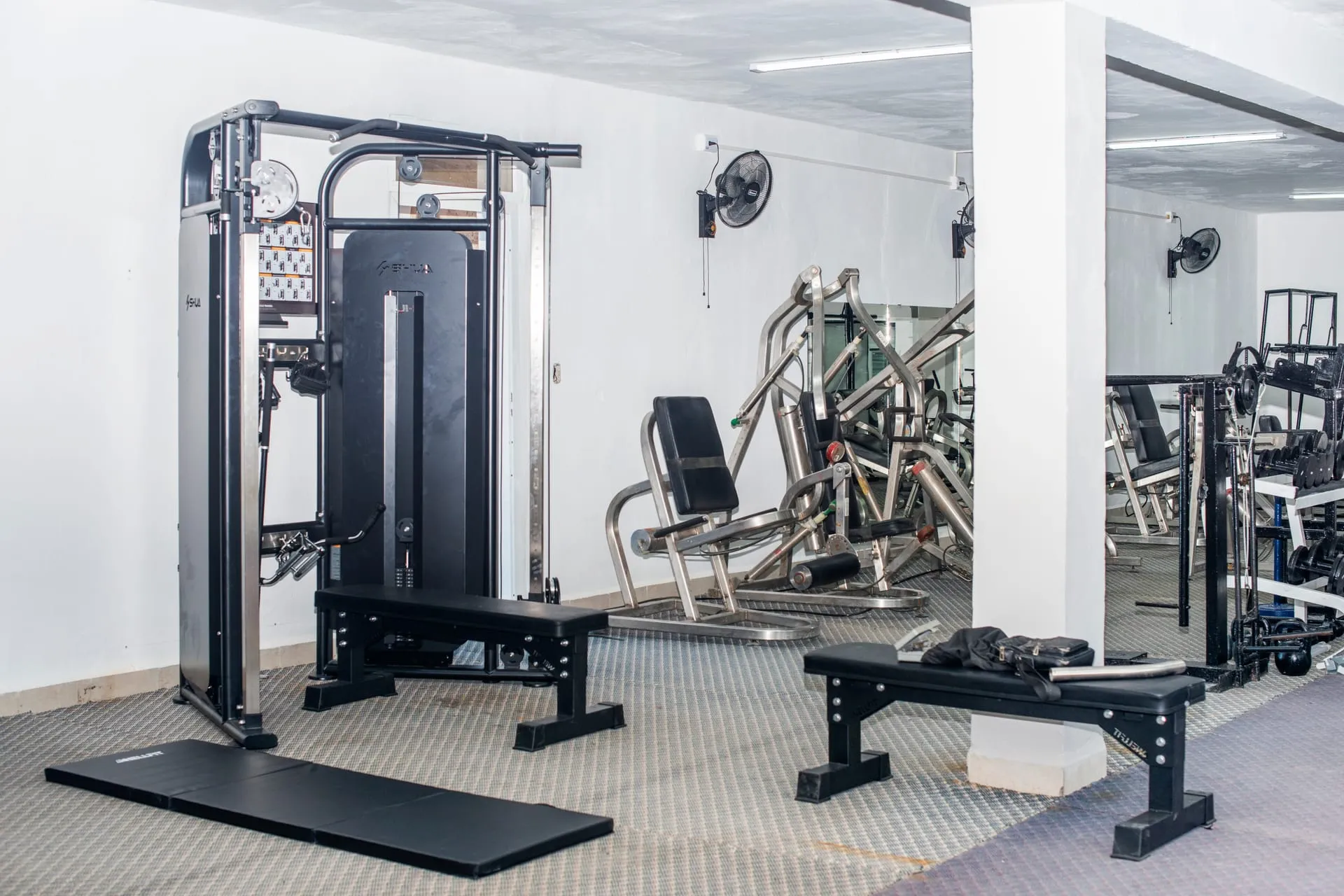 Gimnasio
